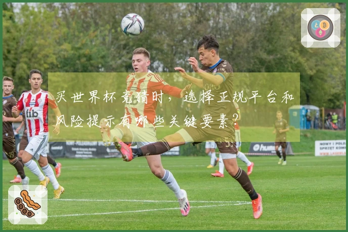 买世界杯竞猜时，选择正规平台和风险提示有哪些关键要素？
