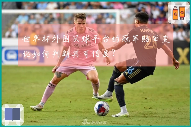 世界杯外围买球平台的冠军赔率变化如何判断其可信度？
