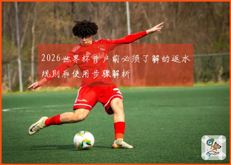 2026世界杯开户前必须了解的返水规则和使用步骤解析