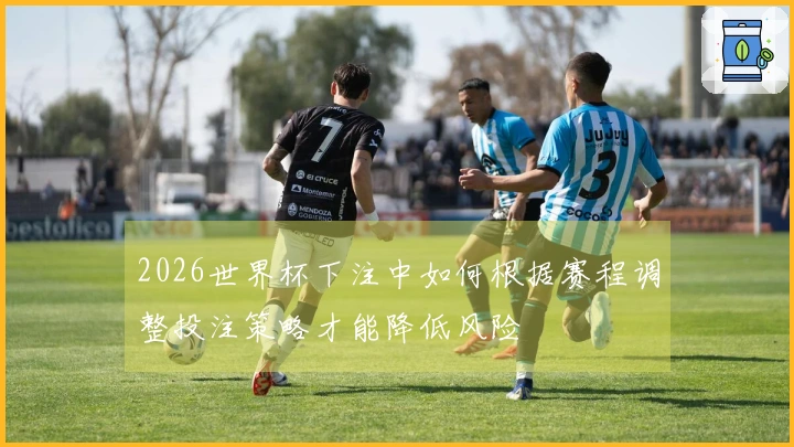 2026世界杯下注中如何根据赛程调整投注策略才能降低风险