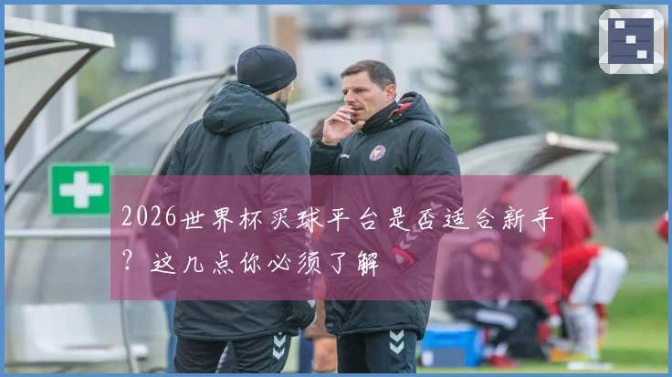 2026世界杯买球平台是否适合新手？这几点你必须了解