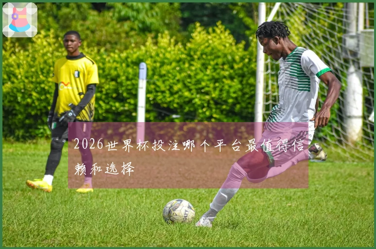 2026世界杯投注哪个平台最值得信赖和选择