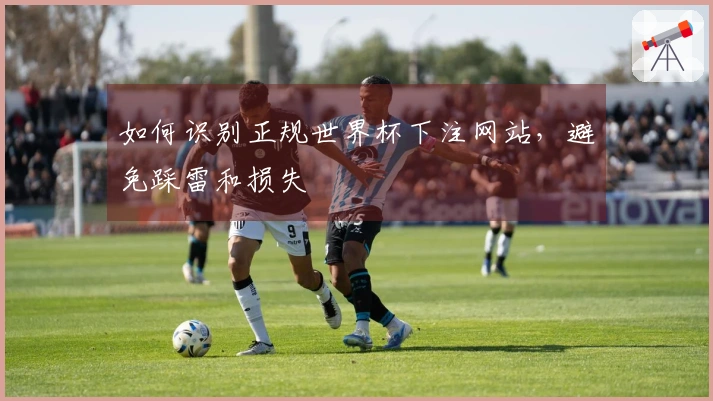 如何识别正规世界杯下注网站,避免踩雷和损失