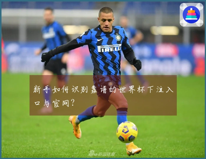 新手如何识别靠谱的世界杯下注入口与官网？